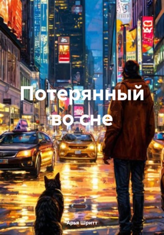 Арья Шритт. Потерянный во сне