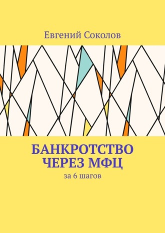 Евгений Соколов. Банкротство через МФЦ. За 6 шагов