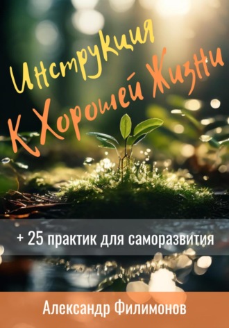 Инструкция к хорошей жизни. 