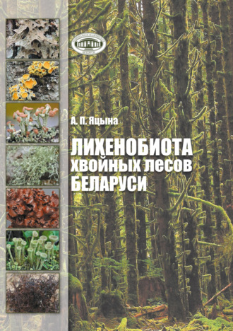 А. П. Яцына. Лихенобиота хвойных лесов Беларуси