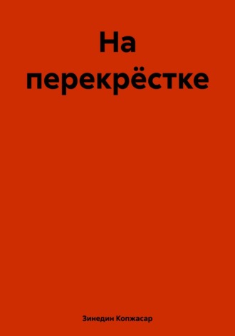 Зинедин Копжасар. На перекрёстке
