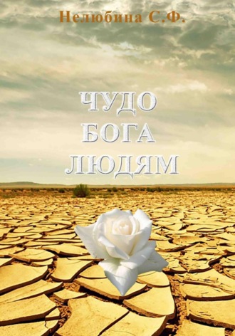 Светлана Фёдоровна Нелюбина. Чудо Бога людям. Подлинные житейские рассказы