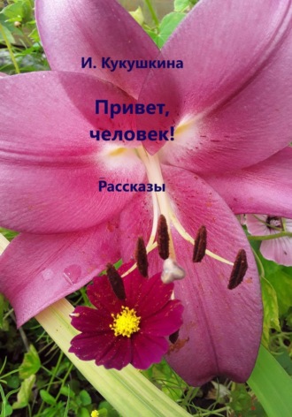 Ирина Анатольевна Кукушкина. Привет, человек! Рассказы