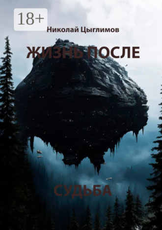 Николай Цыглимов. Жизнь после. Судьба
