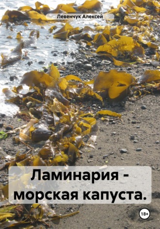 Левенчук Алексей. Ламинария – морская капуста