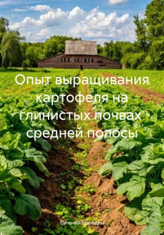 Евгений Владимирович Бородин. Опыт выращивания картофеля на глинистых почвах средней полосы