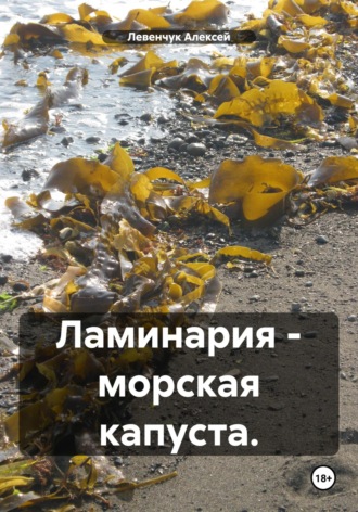 Левенчук Алексей. Ламинария – морская капуста