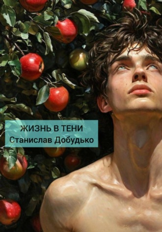 Станислав Владимирович Добудько. Жизнь в тени