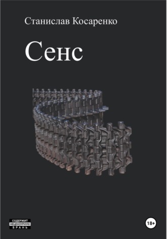 Станислав Косаренко. Сенс