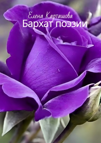 Елена Карташова. Бархат поэзии