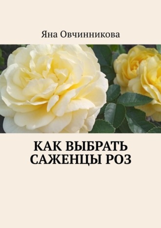 Яна Овчинникова. Как выбрать саженцы роз