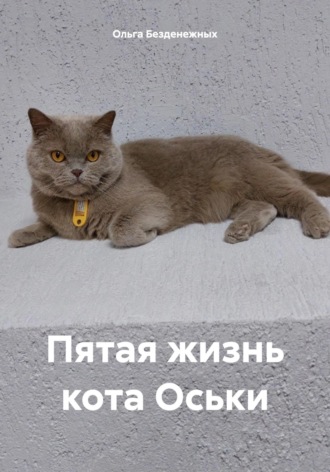 Пятая жизнь кота Оськи. Ольга Безденежных