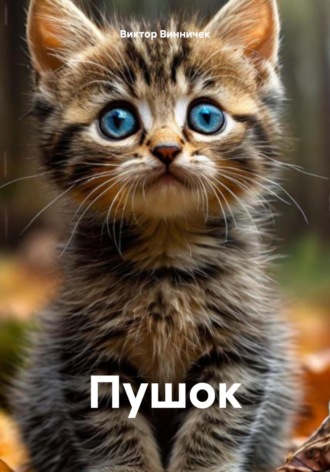 Виктор Винничек. Пушок