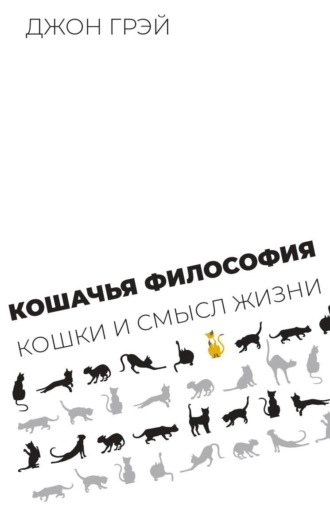 Кошачья философия. Кошки и смысл жизни. 