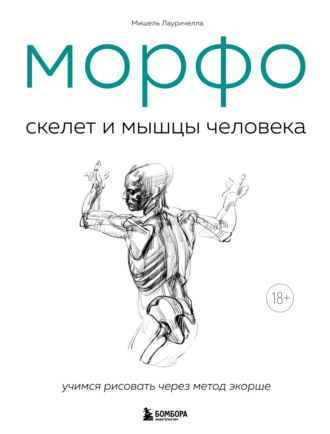 Мишель Лауричелла. МОРФО. Скелет и мышцы человека. Анатомия для художников