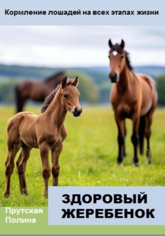 Полина Прутская. Кормление лошадей на всех этапах жизни