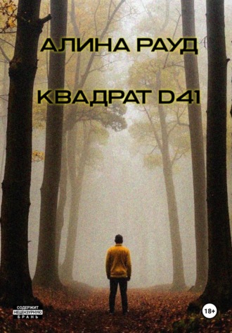 Квадрат D41. 