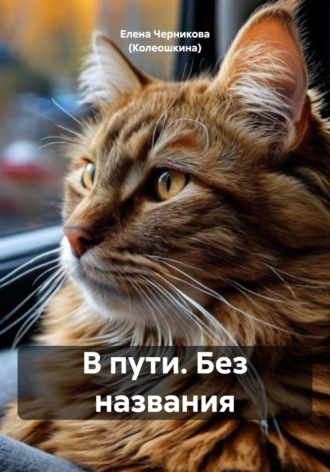 В пути. Без названия. Елена Черникова (Колеошкина)