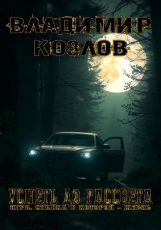 Владимир Олегович Козлов. Успеть до рассвета