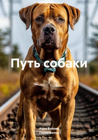 Павел Романович Волов. Путь собаки