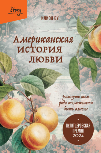 Илион Ву. Американская история любви. Рискнуть всем ради возможности быть вместе