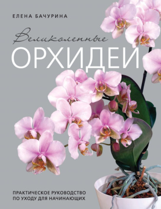 Елена Бачурина. Великолепные орхидеи. Практичное руководство по уходу для начинающих