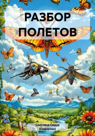 Светлана Евгеньевна Сидур (Сидорова). Разбор полетов