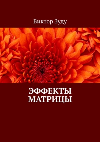 Виктор Зуду. Эффекты матрицы