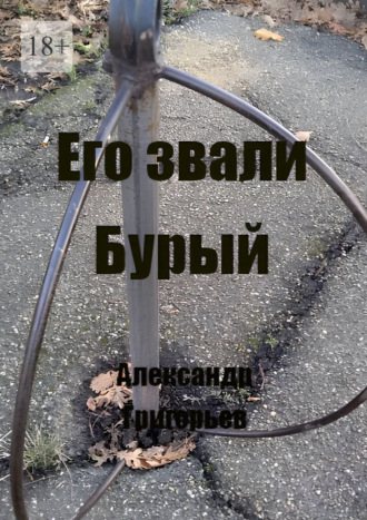 Александр Григорьев. Его звали Бурый