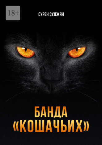 Сурен Суджян. Банда «Кошачьих»