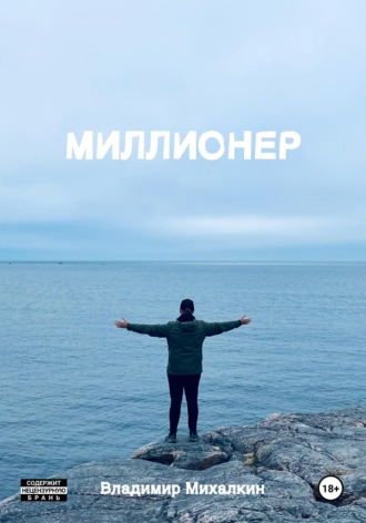 Миллионер. Владимир Михалкин