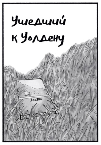 Эссэнс Л. Ушедший к Уолдену