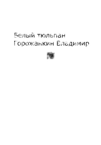 Grozh Ve. Белый тюльпан