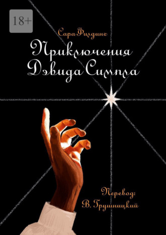 Сара Филдинг. Приключения Дэвида Симпла