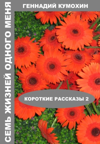 Геннадий Кумохин. Семь жизней одного меня. Короткие рассказы 2