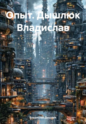 Владислав Александрович Дышлюк. Опыт. Дышлюк Владислав
