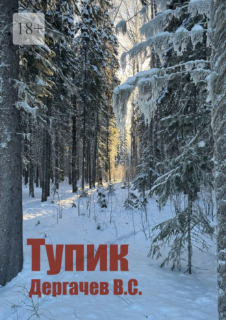 Вячеслав Сергеевич Дергачев. Тупик