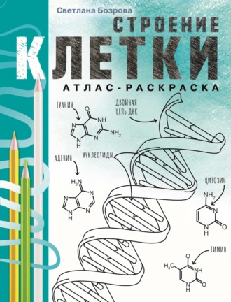 Светлана Бозрова. Строение клетки. Атлас-раскраска