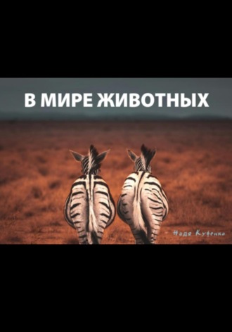 Надя Куфенко. В мире животных