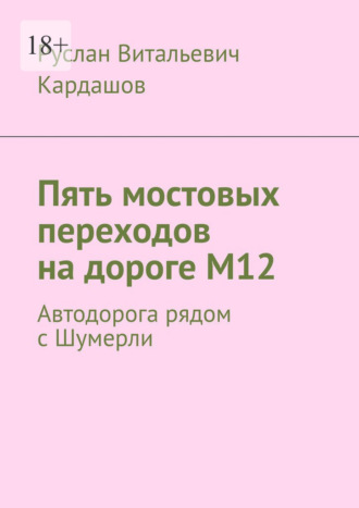 Руслан Витальевич Кардашов. Пять мостовых переходов на дороге М12. Автодорога рядом с Шумерли