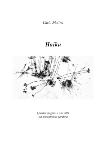 Carlo Molina. Haiku