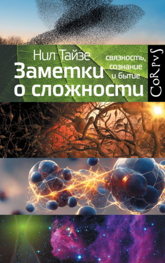 Заметки о сложности. Связность, сознание и бытие. Нил Тайзе
