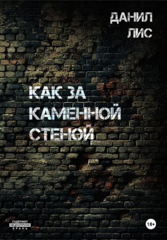 Данил Лис. Как за каменной стеной