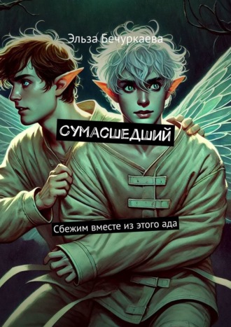Эльза Бечуркаева. Сумасшедший. Сбежим вместе из этого ада