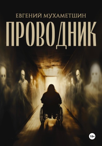 Евгений Мухаметшин. Проводник