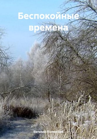 Евгений Полярский. Беспокойные времена