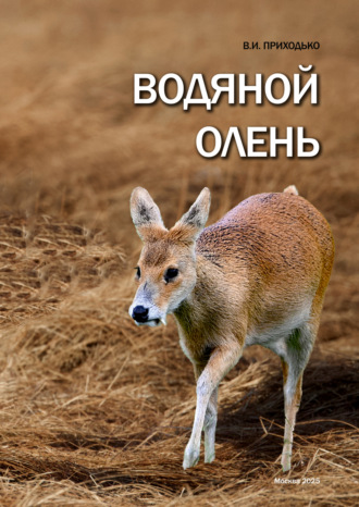 В. И. Приходько. Водяной олень (Hydropotes inermis)