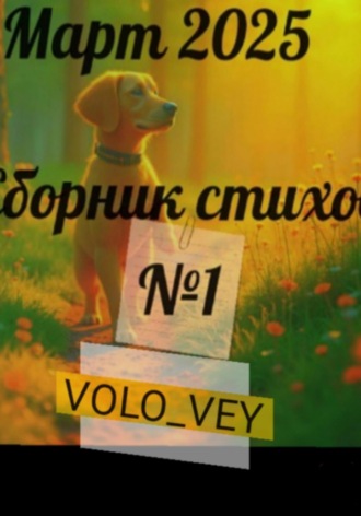 VOLO_VEY VLADISLAV. Альбом стихов #1. Март 2025