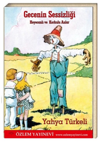 Yahya Türkeli. Gecenin Sessizliği