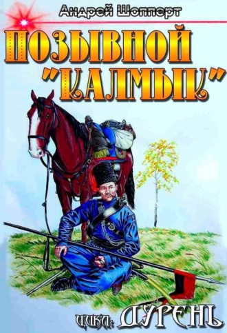 Дурень. Книга вторая. Позывной «Калмык». 
